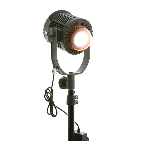 (B Stock) NanGuang CN-30F Fresnel 3-Light Kit