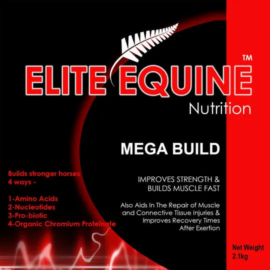 Elite Equine MEGA BUILD