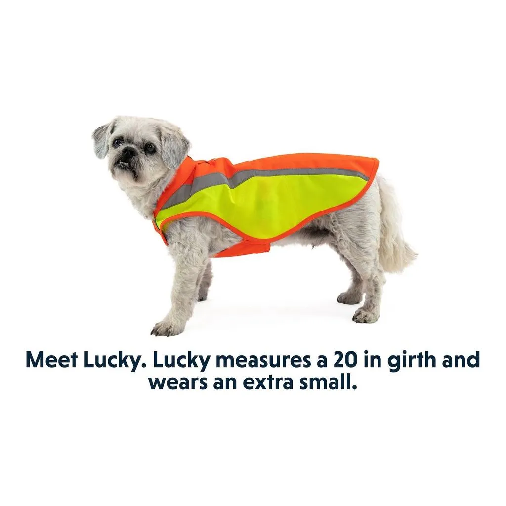 Ruffwear Lumenglow High-Vis Dog Jacket - Blaze Orange